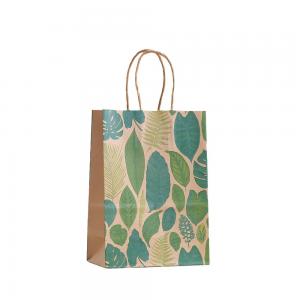 Gravnre Printing Green Plant Paper Bag for Food Snacks Packaging Mori Party Gift Bag