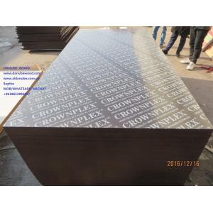 China CROWNPLEX brand film faced plywood,poplar core.Brown film faced Plywood supplier
