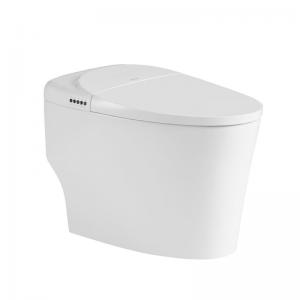 Women Modern Smart Toilet Electric Automatic Flush Intelligent Closet WC