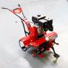 Gasoline Power Convenient Farming Machinery 170F Spraying Mini Tractor