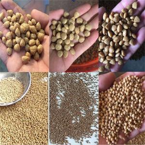China 500kg/H Small Fish Food Pellet Making Machine 2.2kw Cutting Power supplier
