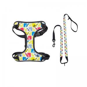 China Quick Snap Design Reflective Puppy Harness Soft Dog Harnesses With Leashes Set supplier