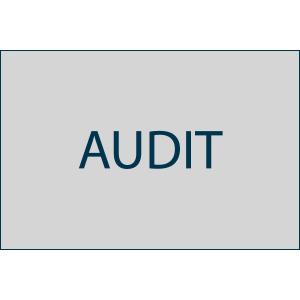 Transforming Ethics Audit Brief Detailed Report Data Analytics Improved Quality