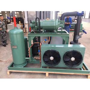 Customized Air Cooled Condensing Unit For Freezer / Cold Storage Refrigeration Units