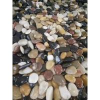 China Multicolor Natural Pebble Stone Polished River Pebbles For Landscaping Decoration on sale