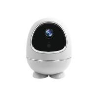 China PIR Motion Detection Smart PTZ Camera Home Security Baby Monitor Network Wifi Camera on sale