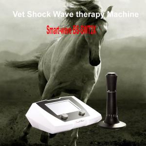 China Equine veterinary animal shock wave shockwave therapy equipment machine for horse supplier