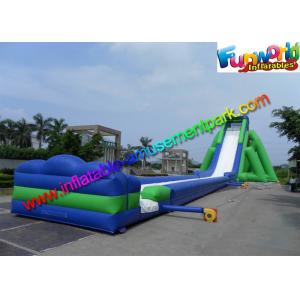 Giant Hippo Inflatable water slide , inflatable hippo pool toy