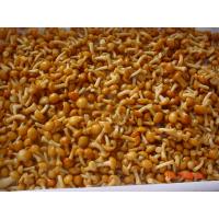China IQF New Crop  Frozen Fruits And Vegetables Forest Nameko Mushroom Whole Part ABC on sale