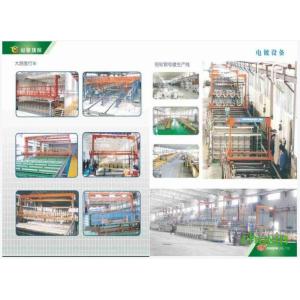 China Ligne de production de galvanoplastie à haut rendement avec consommation contrôlée par PLC wholesale