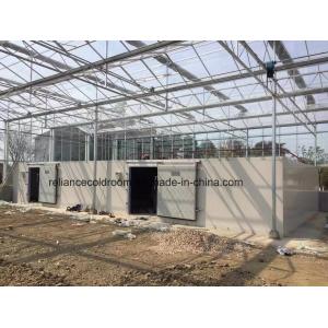 China Sala de armazenamento frigorífico agrícola certificada pela ISO PU1009810 para controlo óptimo da temperatura supplier