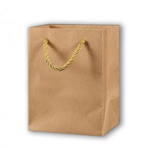 China Custom Kraft Paper Shopping Bag Brown Handle Colored Gift Paper Bag supplier