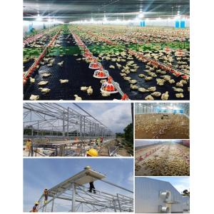 China CE Livestock Farm House Steel Structure Chicken House And Equipment For Chicken supplier