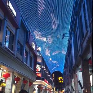 China Écran à LED P83 Pixels Affichage vidéo à LED Mesh supplier