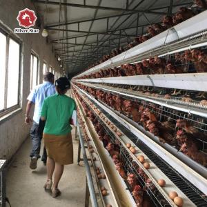 A Type Layer Poultry Chicken Cage 3 Tiers Farm Poultry Equipment 90birds