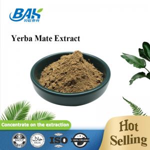 Nutritional Liver Protection Supplement Yerba Mate Extract Powder 10:1