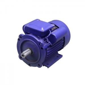 China Single Phase Ac Induction Motor 5 Hp 3 Hp supplier