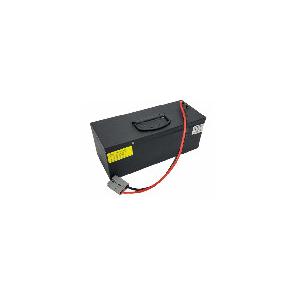 Lifepo4 48V 30Ah Rechargeable Club Car Lithium Ion Battery With BMS