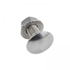 China Wholesale Stainless Steel Coach Bolt And Nut Of Ss304 Ss316 A2-70 A4-80 supplier