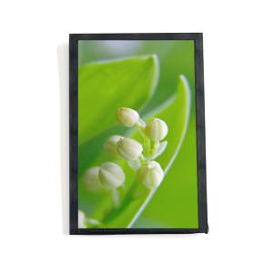 China 7 pulgadas pantalla LCD de alto brillo 2000nits 40 pines interfaz MIPI módulo IPS TFT LCD supplier