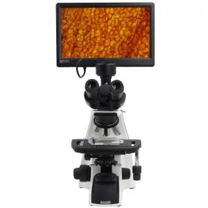 China Biological Compound Video Digital Microscope / 12.5 Lab Trinocular Profesional Pantalla Lcd Microscope supplier