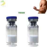 Thymosin Beta 4  Body Building Peptides Tb500 99% Purity