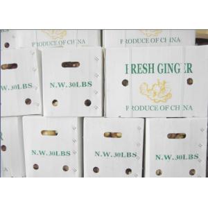 30lbs Fresh Ginger PP Fluted Corrugated Plastic Box