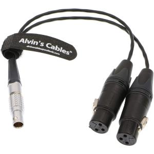 Alvin'S Cables XLR Breakout Audio Input Cable For Atomos Shogun Monitor Recorder 10 Pin To Dual XLR 3 Pin Female