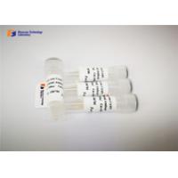 China Rabbit Source Anti GST Tag Antibody , 26 kDa Monoclonal Recombinant Protein on sale
