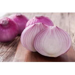 25KG 90mm natural fresh onion