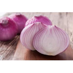 China 25KG 90mm natural fresh onion supplier