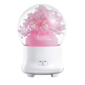 China Cute USB Electric Aroma Diffuser Essential Oil Aroma Diffuser Humidifier 100ml supplier