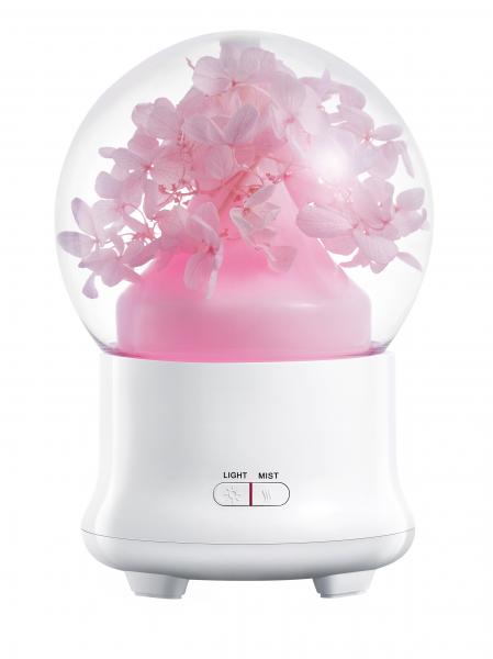 Cute USB Electric Aroma Diffuser Essential Oil Aroma Diffuser Humidifier 100ml