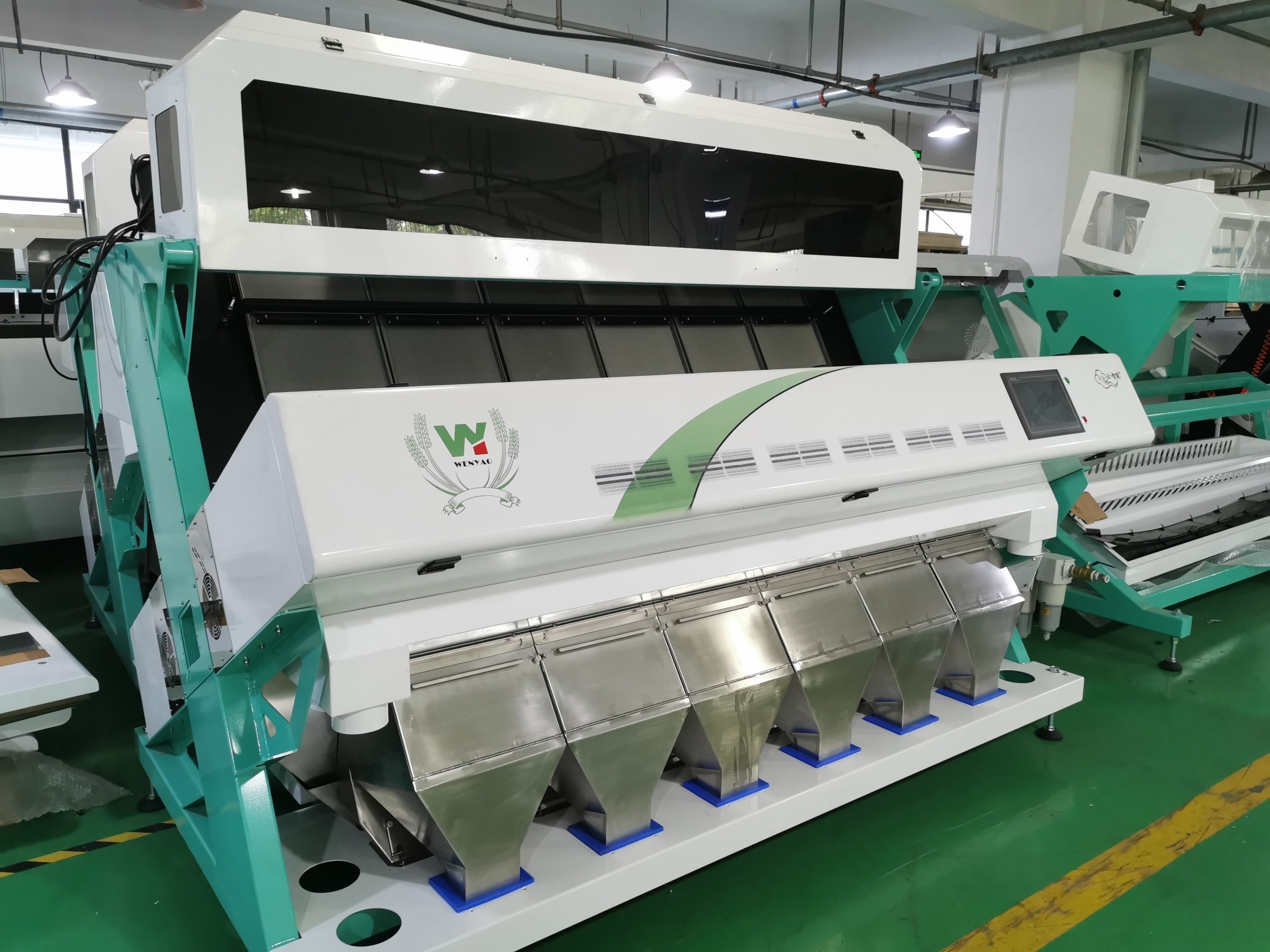 4T/H Sacha Inchi Bean Sorting Machine con alta exactitud de clasificación