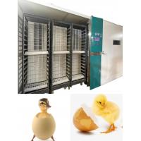 China Automatic Large Scale Chicken Egg Hatching Machine Hatching Rate 98% on sale