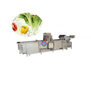 China 1000 KG Fruit And Vegetable Cleaner Machine , Garlic Lettuce Herb Washing Machine supplier