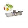 1000 KG Fruit And Vegetable Cleaner Machine , Garlic Lettuce Herb Washing