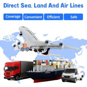 China DHL UPS Fedex International Express Freight Service All Types FIATA supplier