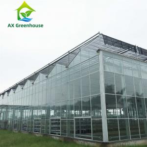 China 16m Span Multispan Smart Agricultural Glass Greenhouse For Vegetable Growing supplier
