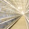Laying Eggs Automatic Chicken Cage , Large Scale Farm Free Range Chicken Cage