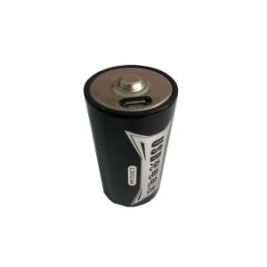 High Stability High Capacity Micro-USB Rechargeable Lithium Battery D size