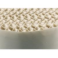 Plastic Gauze Corrugated Structured Packing RPP PVDF CPVC High Gas Content