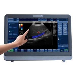 China Medical 3D / 4D Color Doppler Ultrasound System Portable With 15 inch LED Monitor supplier