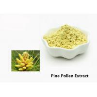 China Health Care 1kg Natural Pine Pollen Extract Powder on sale