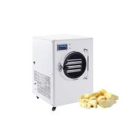 China High Quality Laboratory Freeze Dryer Freeze Dryer Food Home With High Quality on sale