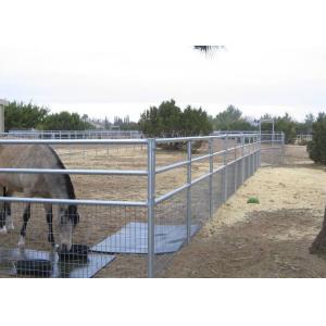 2x4 Welded Wire Horse Panels 4 Gauge 6 Gauge Welded Horse Fence