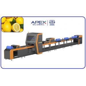 China Intelligent Automatic Lemon Sorting Machine 380V / 50Hz supplier