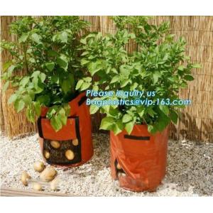 100 /200/300 gallon tan tree grow bag 100gallon grow bag for plant trees,vegetables grow bags planting bags growing bags