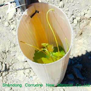 Customizable Green Recyclable Corrugated Plastic Tree Tube for Sustainable Planting