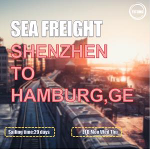 EMC YML Liner International Sea Freight Logistics  From Shenzhen To Hamburg Germany